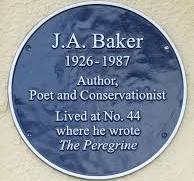 J A BAKER
